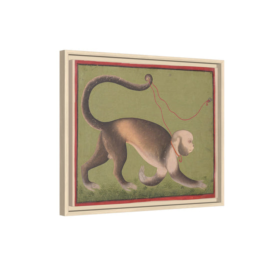 Monumental Portrait of a Monkey – Antique Illustration. Matte. Framed canvas.