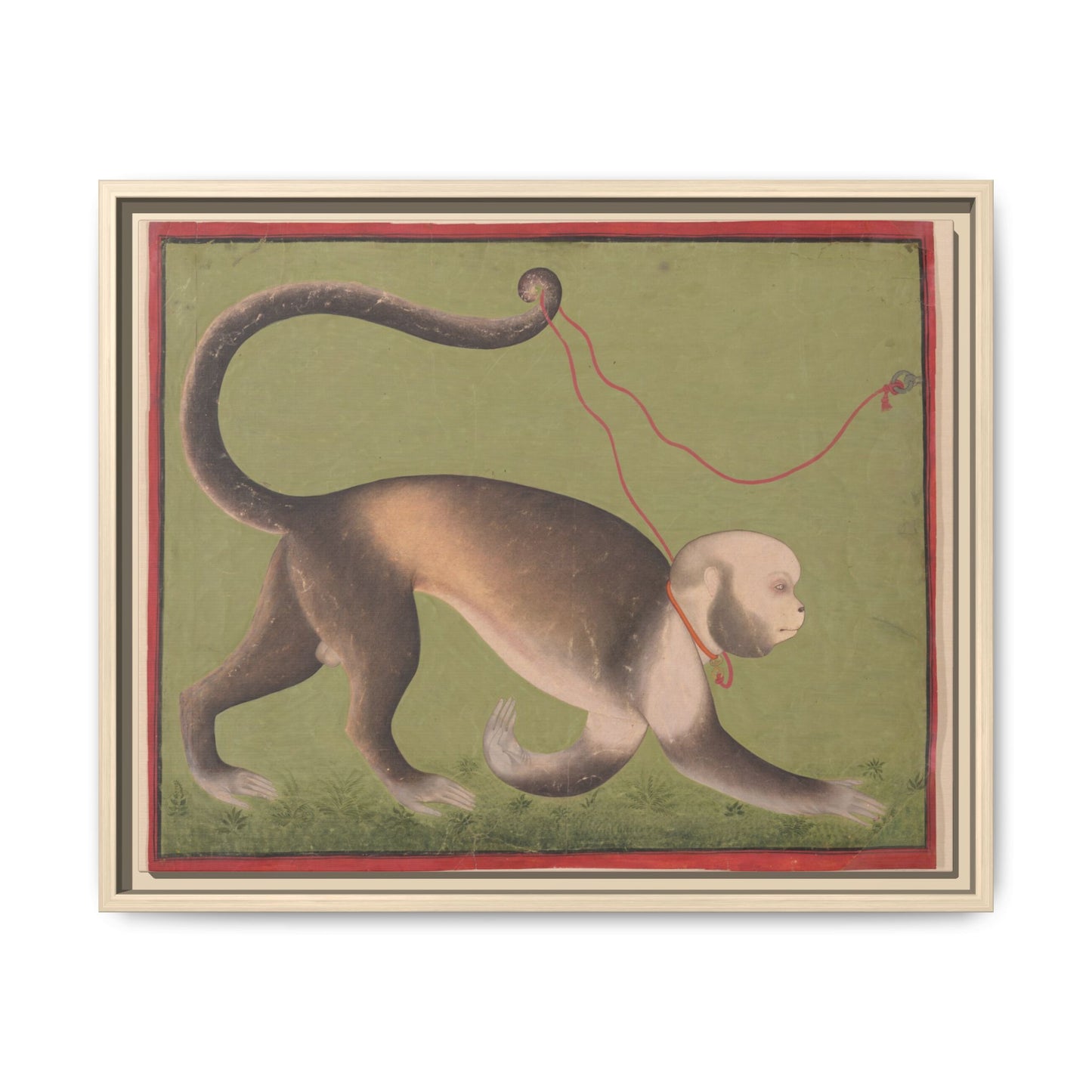 Monumental Portrait of a Monkey – Antique Illustration. Matte. Framed canvas.