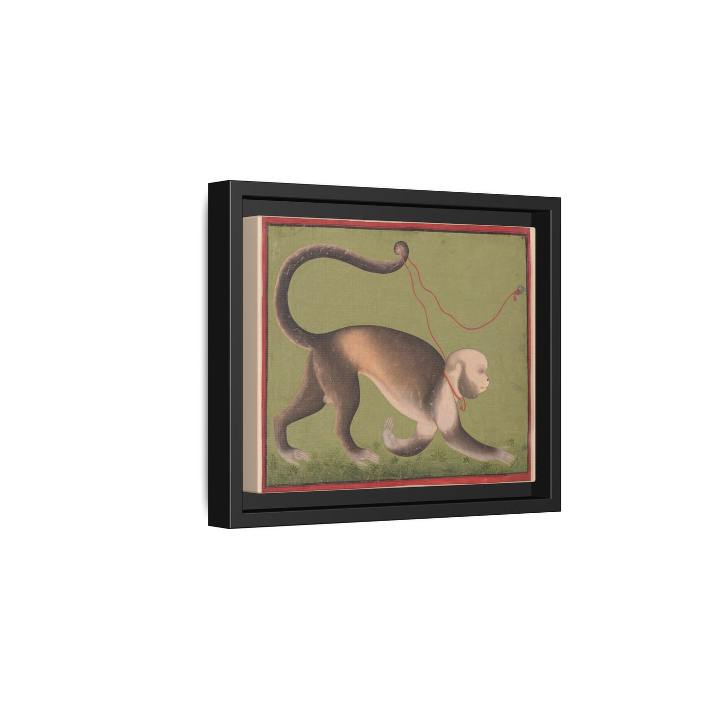 Monumental Portrait of a Monkey – Antique Illustration. Matte. Framed canvas.