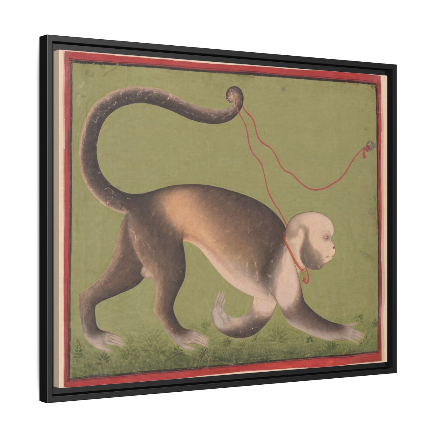 Monumental Portrait of a Monkey – Antique Illustration. Matte. Framed canvas.