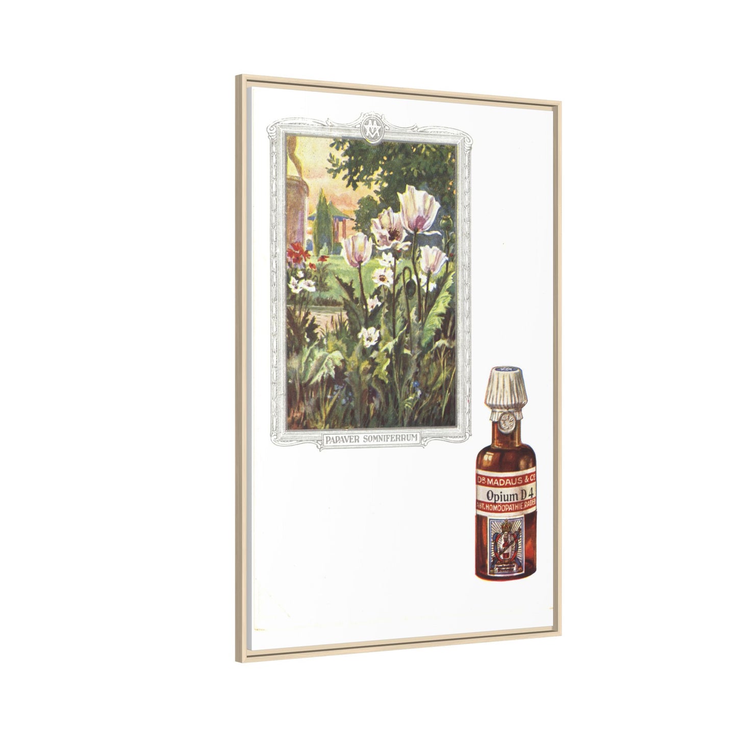 Papaver Somniferum &amp; Opium D4 – Vintage Medicinal Print. Matte. Framed canvas.