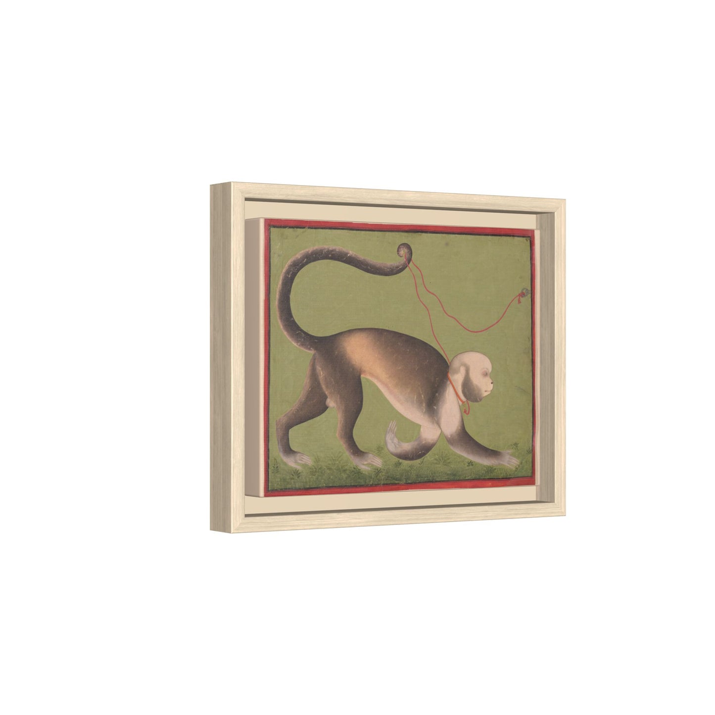 Monumental Portrait of a Monkey – Antique Illustration. Matte. Framed canvas.