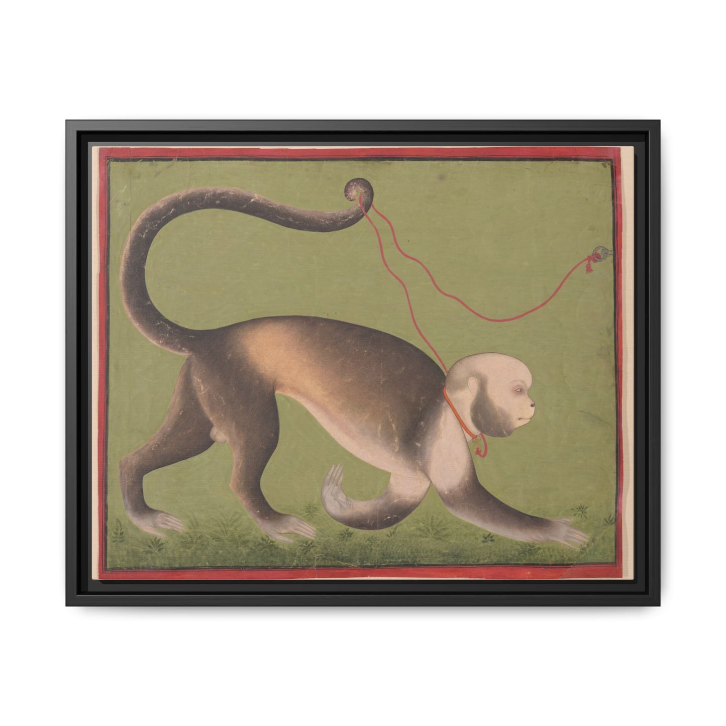 Monumental Portrait of a Monkey – Antique Illustration. Matte. Framed canvas.