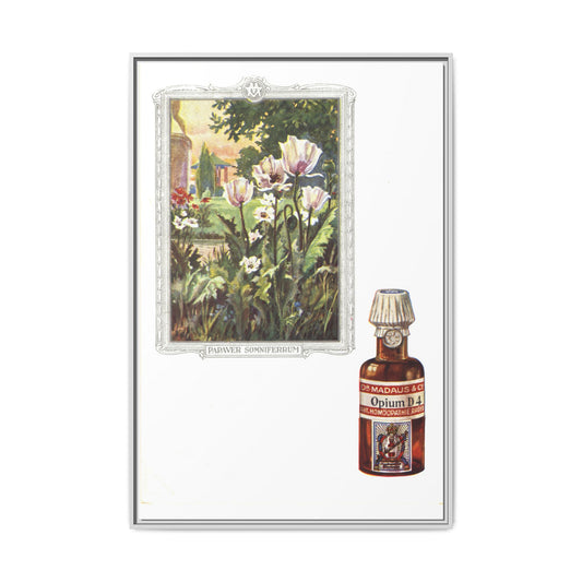 Papaver Somniferum &amp; Opium D4 – Vintage Medicinal Print. Matte. Framed canvas.