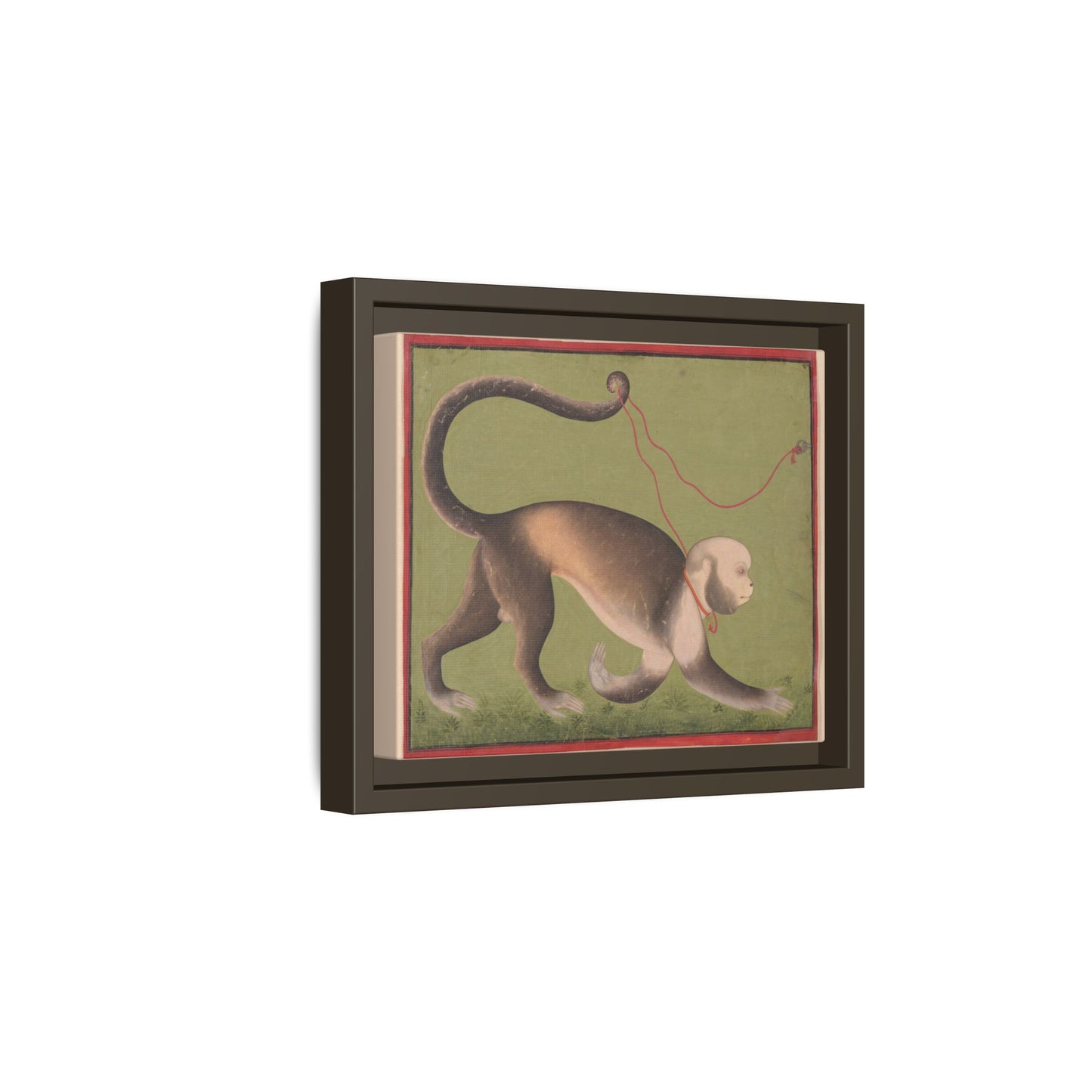 Monumental Portrait of a Monkey – Antique Illustration. Matte. Framed canvas.