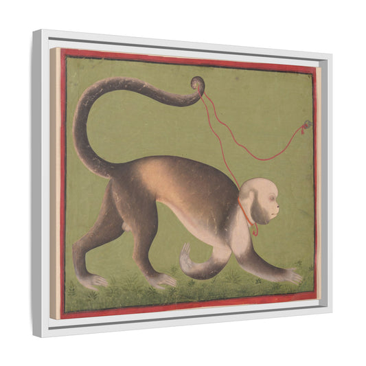 Monumental Portrait of a Monkey – Antique Illustration. Matte. Framed canvas.