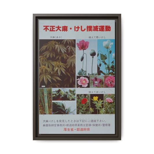 Japanese Anti-Narcotics Poster: Cannabis & Opium Poppies – Vintage Public Health. Matte. Framed canvas.