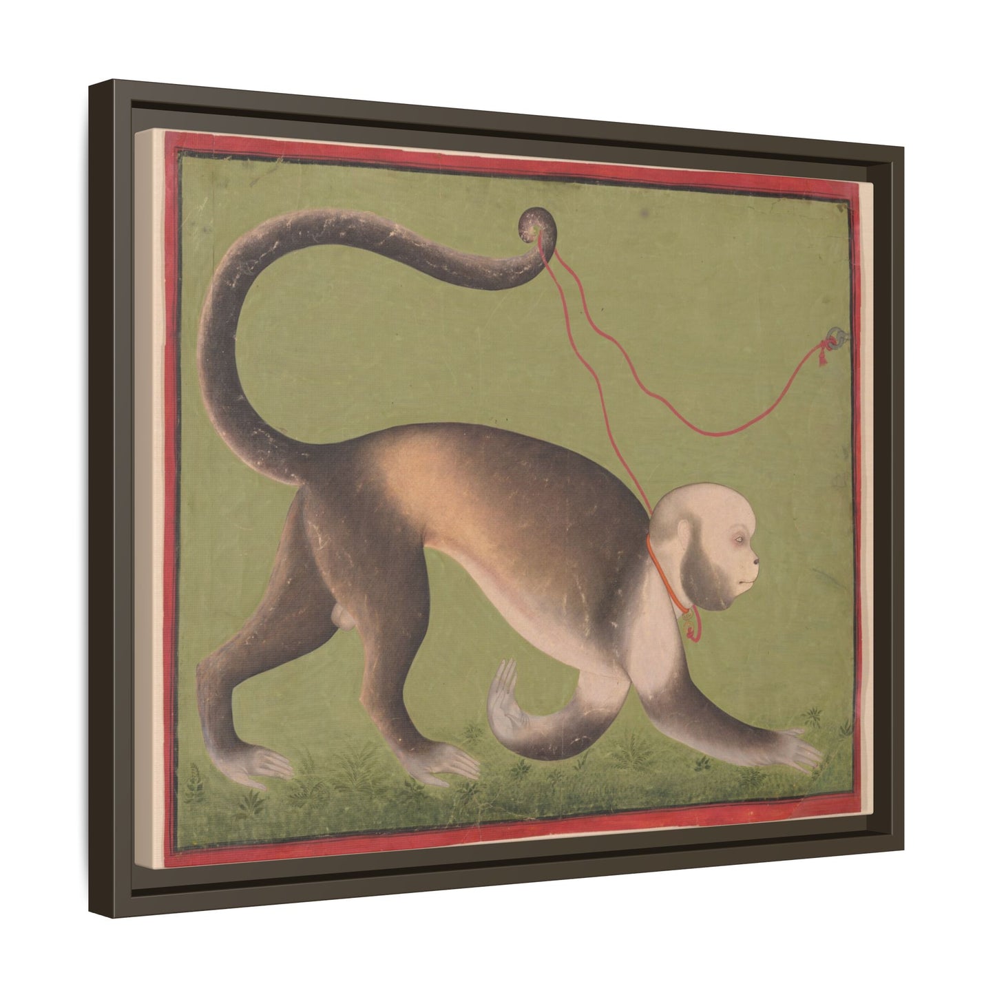Monumental Portrait of a Monkey – Antique Illustration. Matte. Framed canvas.