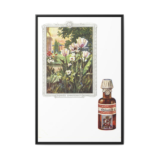 Papaver Somniferum &amp; Opium D4 – Vintage Medicinal Print. Matte. Framed canvas.