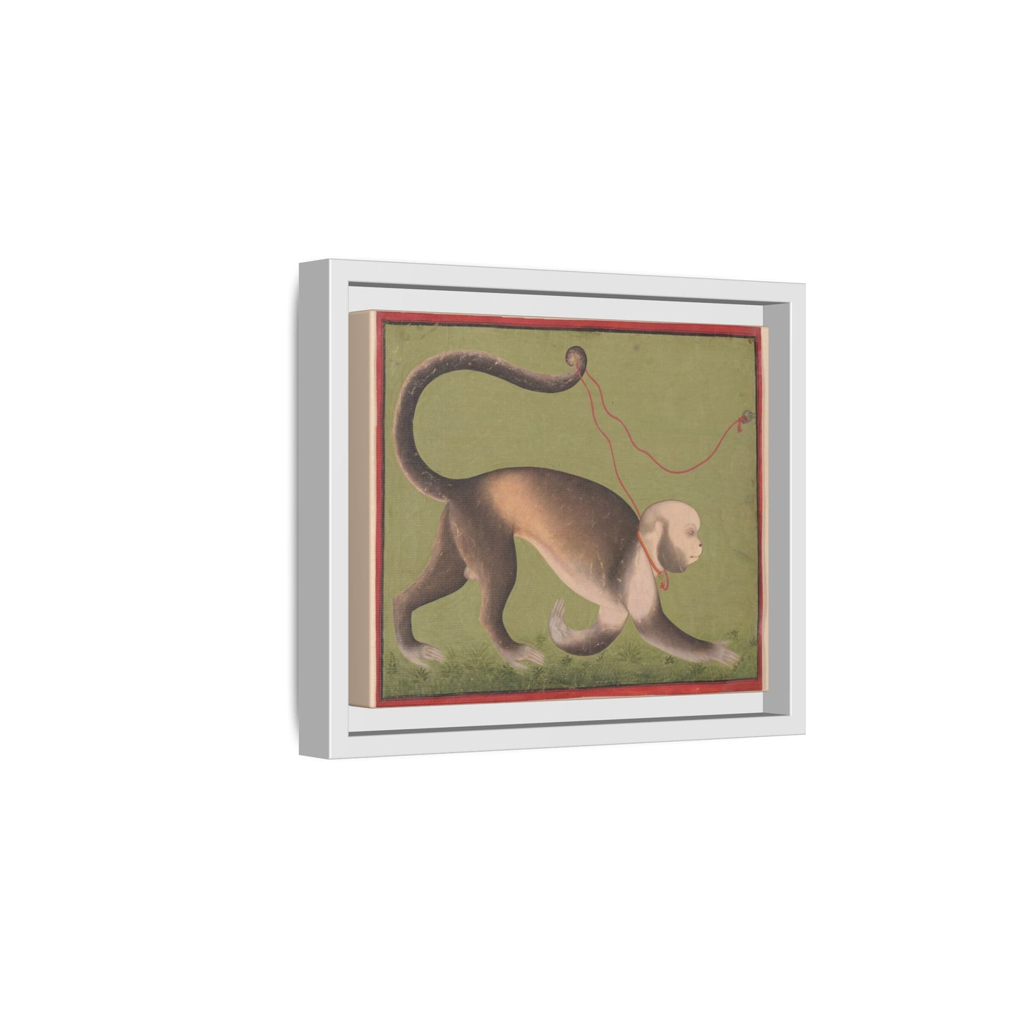 Monumental Portrait of a Monkey – Antique Illustration. Matte. Framed canvas.