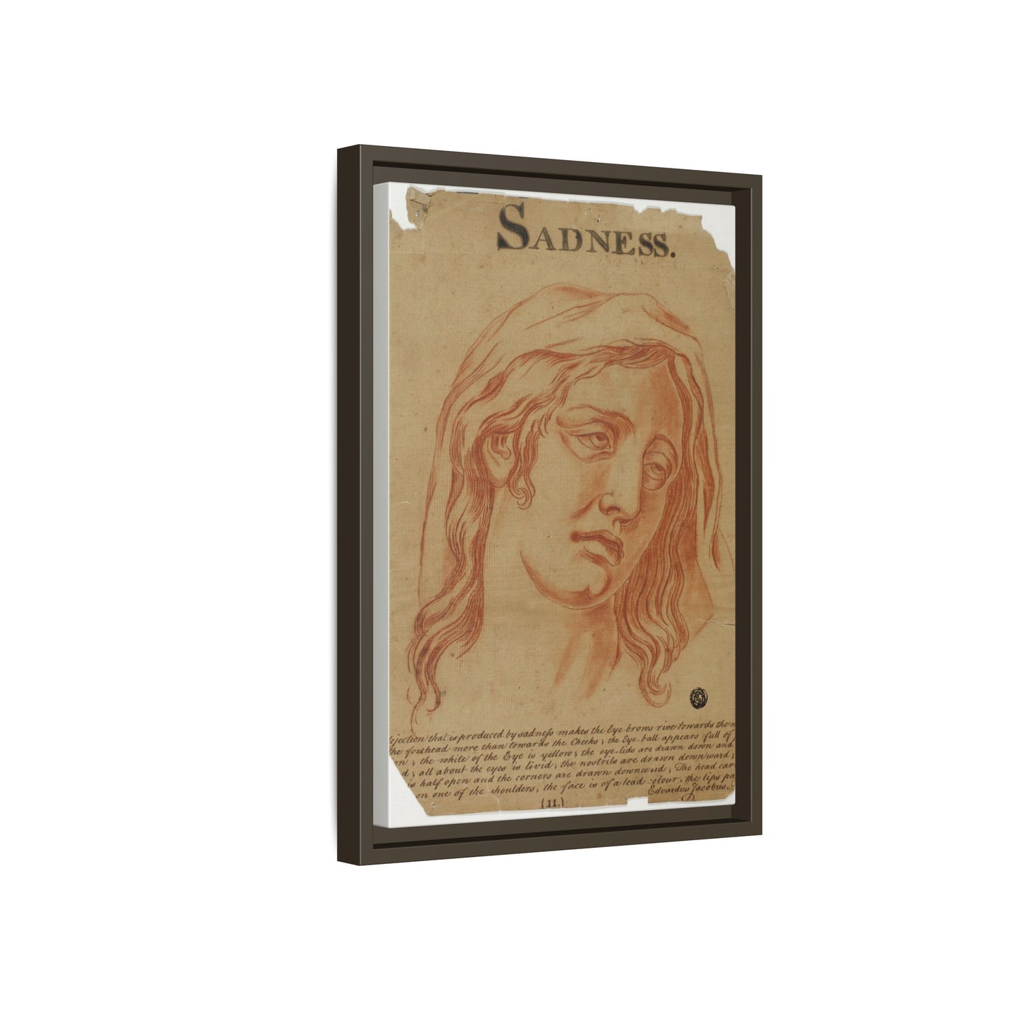 Sadness – Allegorical Engraving. Vintage Red Chalk Head Study. Matte. Framed Canvas.