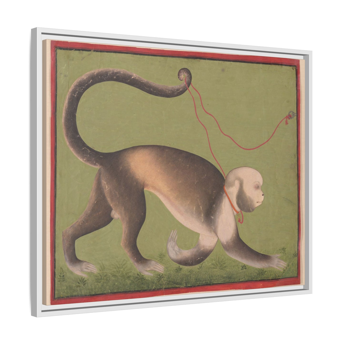 Monumental Portrait of a Monkey – Antique Illustration. Matte. Framed canvas.