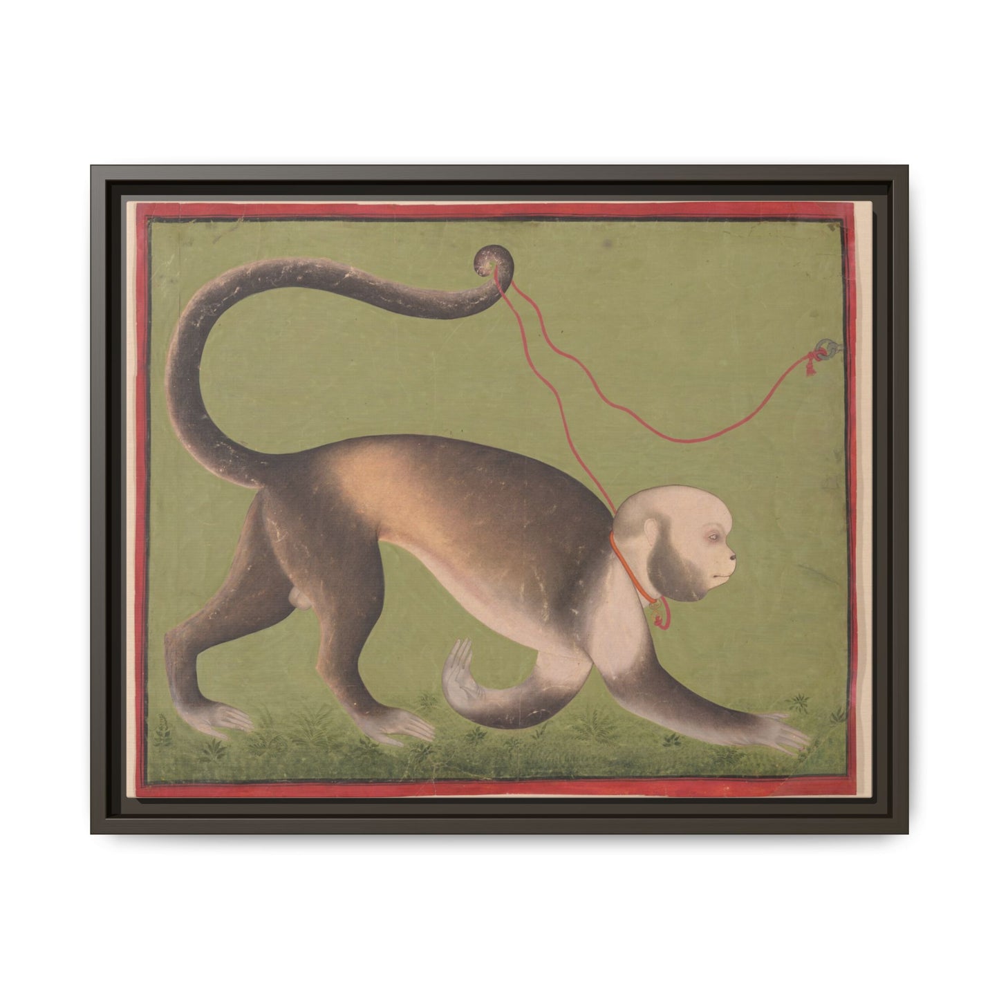 Monumental Portrait of a Monkey – Antique Illustration. Matte. Framed canvas.