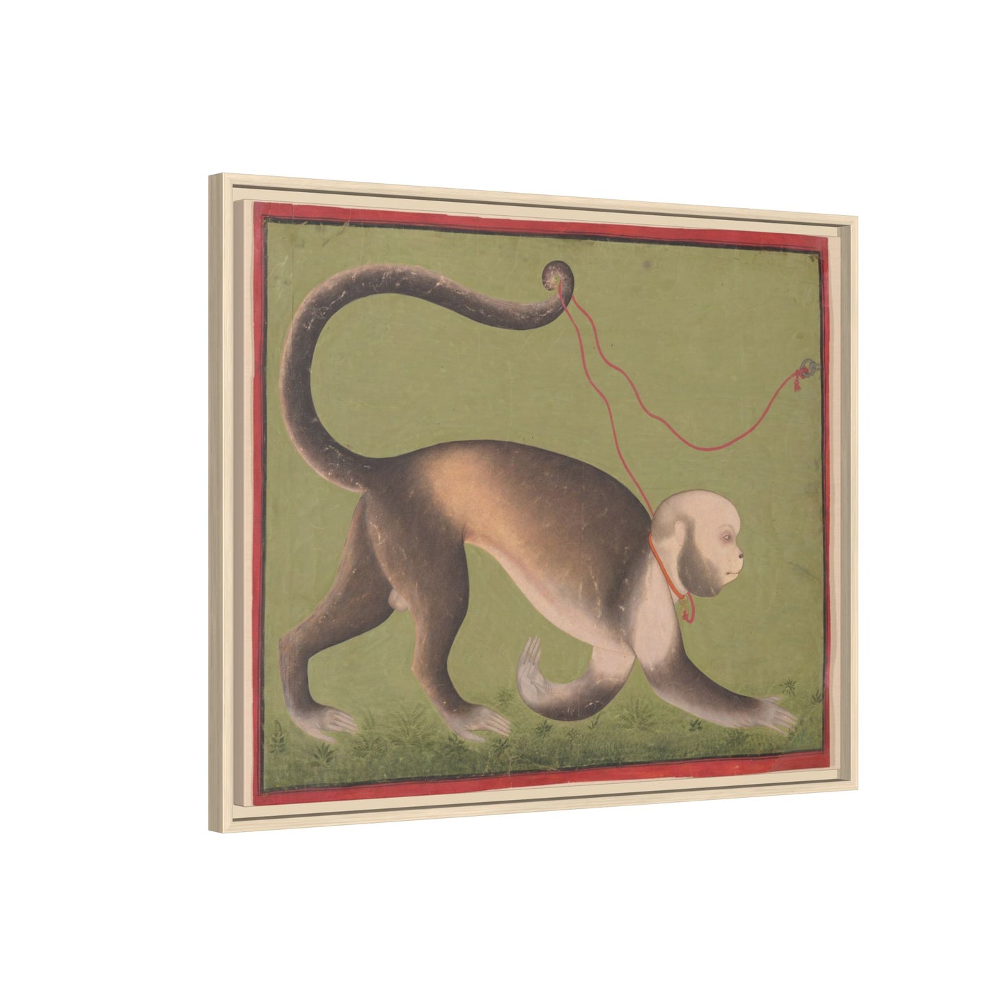 Monumental Portrait of a Monkey – Antique Illustration. Matte. Framed canvas.