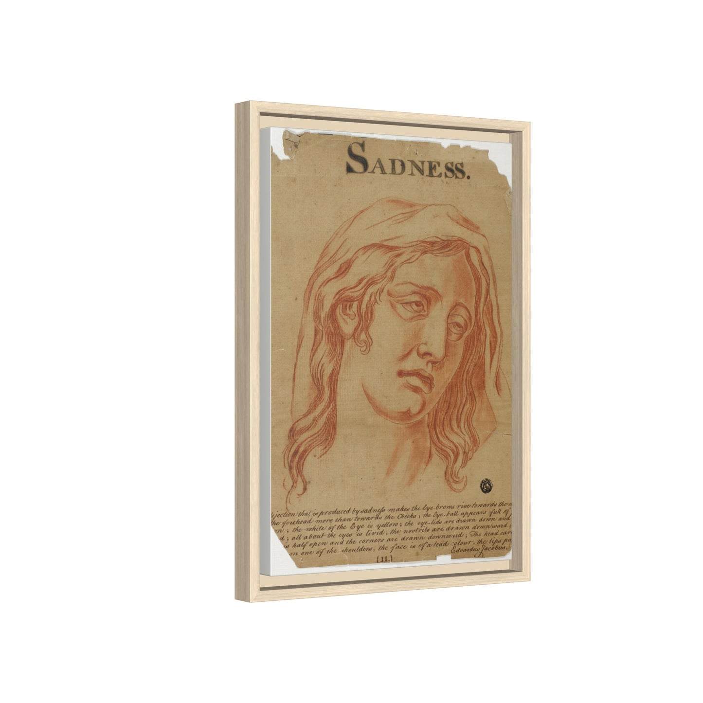 Sadness – Allegorical Engraving. Vintage Red Chalk Head Study. Matte. Framed Canvas.