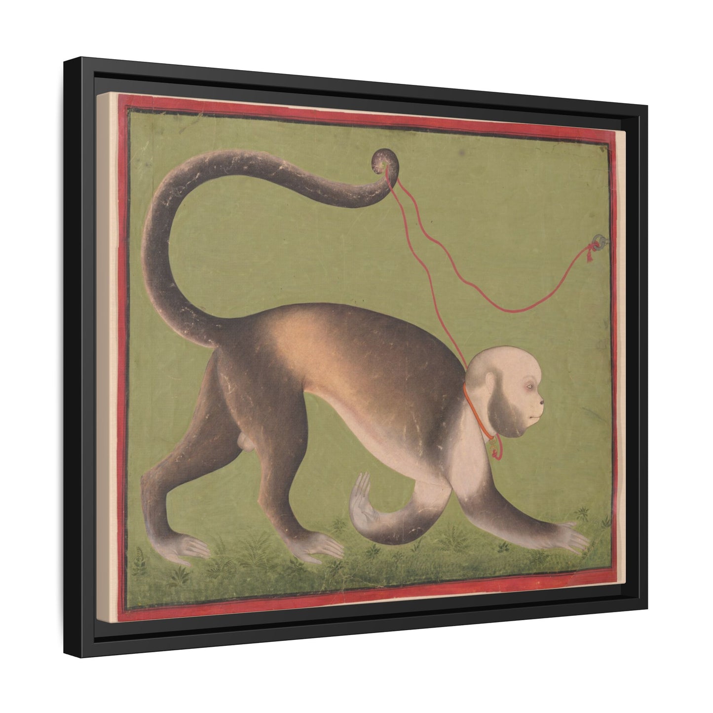 Monumental Portrait of a Monkey – Antique Illustration. Matte. Framed canvas.